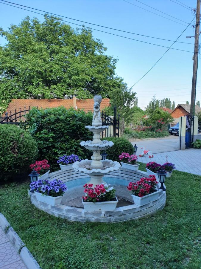 Apartment Cace Kumanovo Bagian luar foto